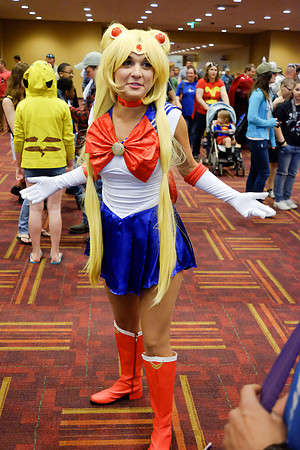 2017 Indiana Comi Con 015